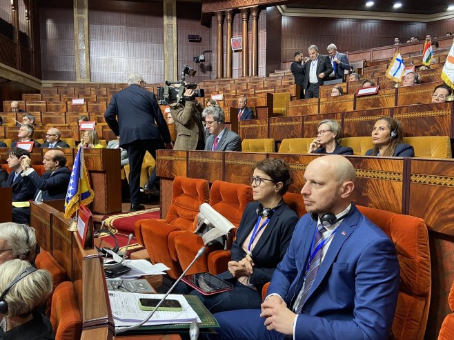 Чланови Делегације ПСБиХ у ПС Уније за Медитеран - Фото: Уступљена фотографија