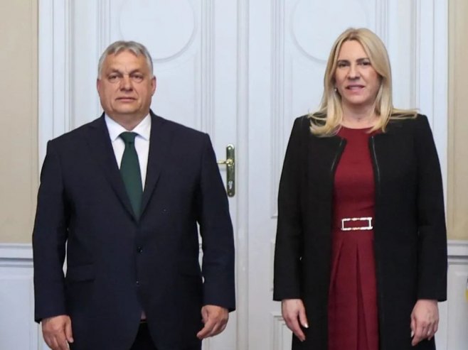 Цвијановић: Много лакше борити се за слободу и демократију, када уз себе имате искреног  пријатеља какав је Орбан (ВИДЕО)