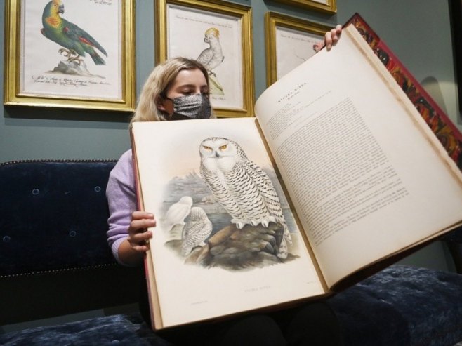 Књиге илустрација Дарвиновог "човјека птице" на продају за два милиона