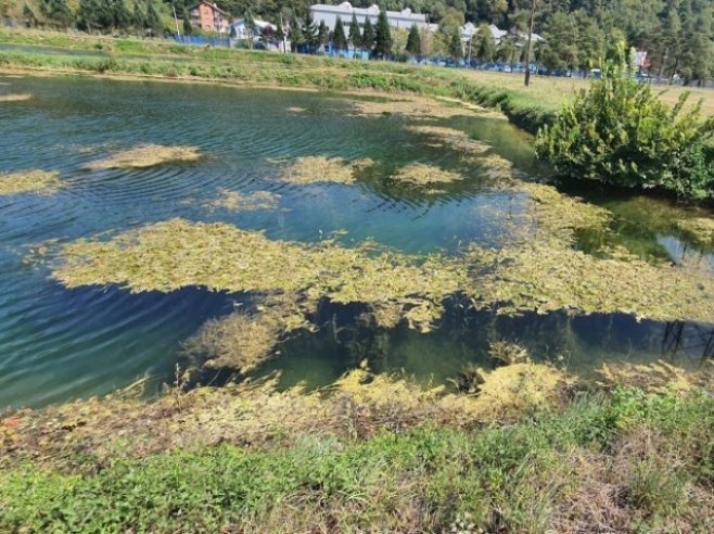 Базени Водовода а.д. Бањалука Базени Водовода а.д. Бањалука - Фото: РТРС