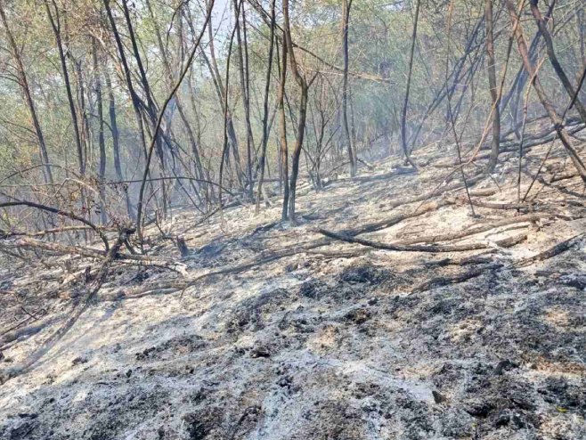 Угашен пожар у Вишнику код Дервенте - Фото: РТРС