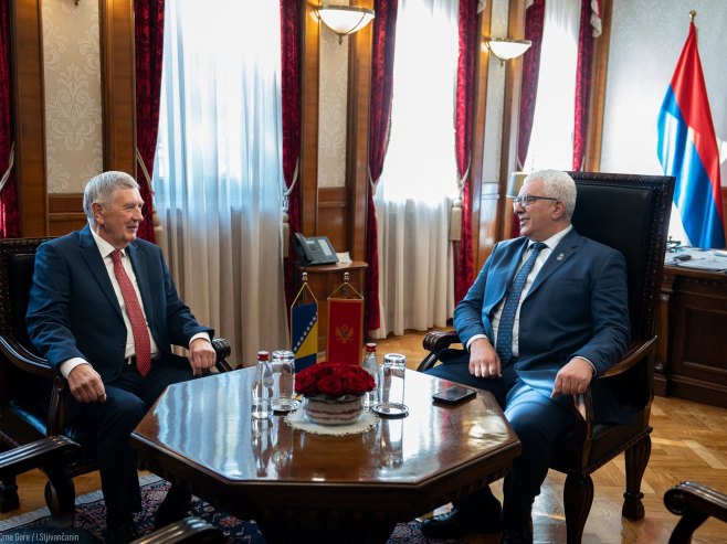Небојша Радмановић и Андрија Мандић Небојша Радмановић и Андрија Мандић - Фото: СРНА