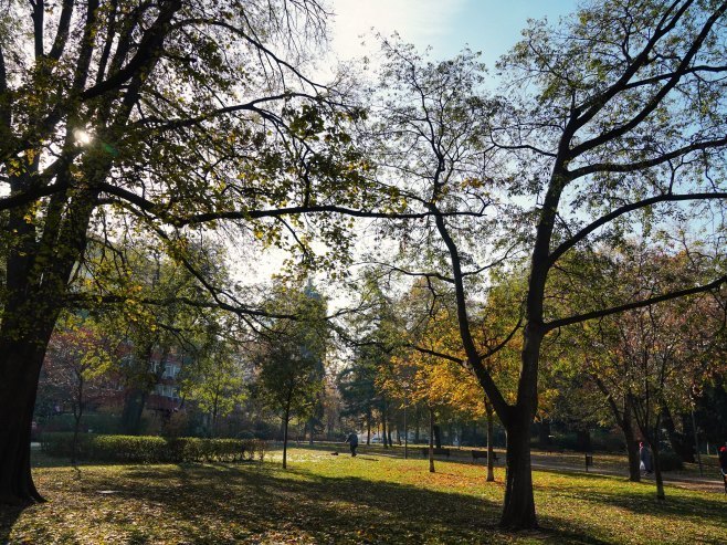 Јесен (Фото: TANJUG/ VLADIMIR ŠPORČIĆ) - 