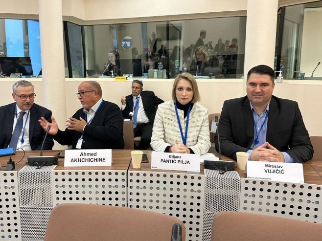 Вујичић на сједници Комитета ПС Савјета Европе за политичка питања и демократију - Фото: СРНА