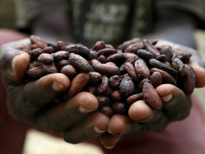 Какао (Фото: EPA-EFE/LEGNAN KOULA) - 