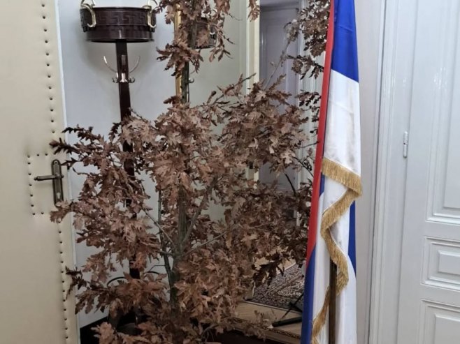 Бадњак испед кабинета српског члана Предсједништва БиХ (Фото: instagram.com/zeljka.cvijanovic) Бадњак испед кабинета српског члана Предсједништва БиХ (Фото: instagram.com/zeljka.cvijanovic) -