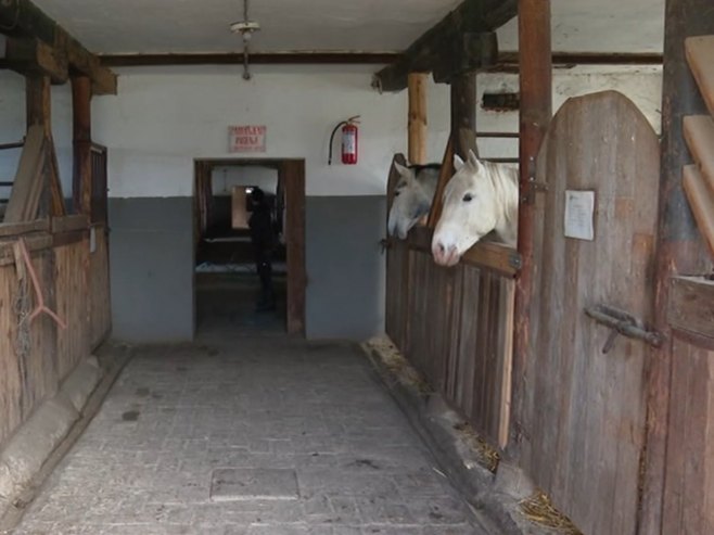 Ергела - Фото: РТРС