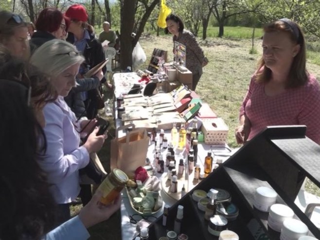 Mанифестација "Дани љубичице" Mанифестација "Дани љубичице" - Фото: РТРС