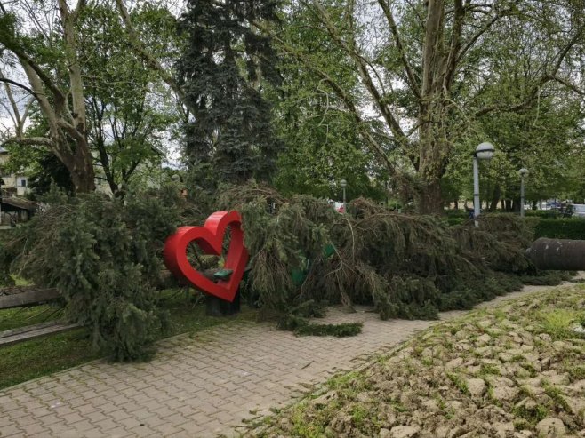Козарска Дубица - вјетар чупао стабла Козарска Дубица - вјетар чупао стабла - Фото: СРНА