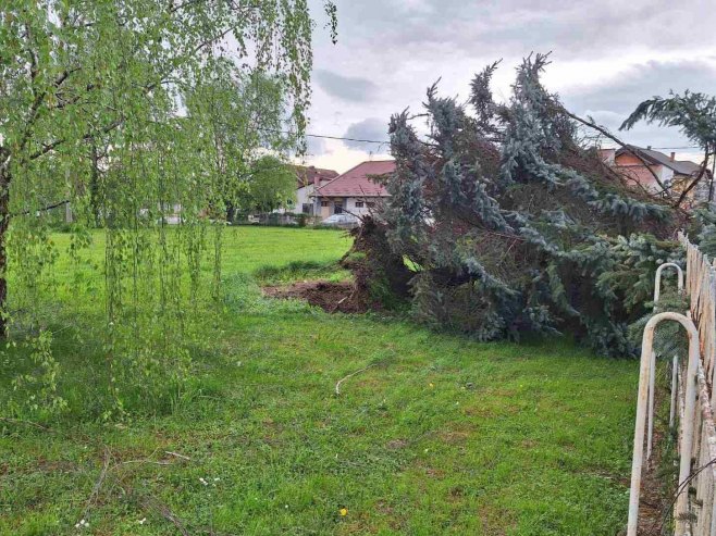 Фото: СРНА