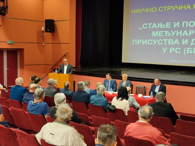 Стручњаци за безбједност сагласни - неуставне измјене закона у БиХ треба поништити