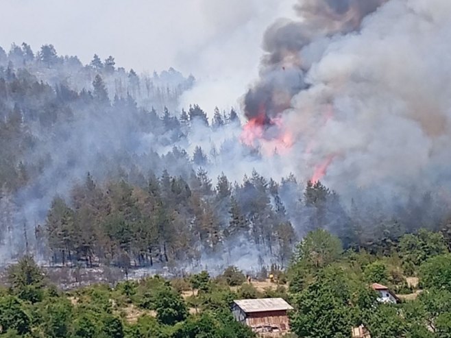 Požar u Rogatici (Foto: RTRS)