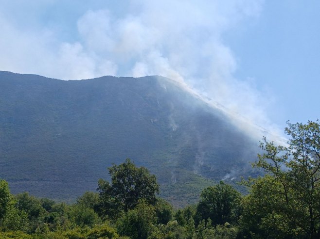 Požar kod Žakova, Popovo polje, Trebinje (Foto: RTRS)
