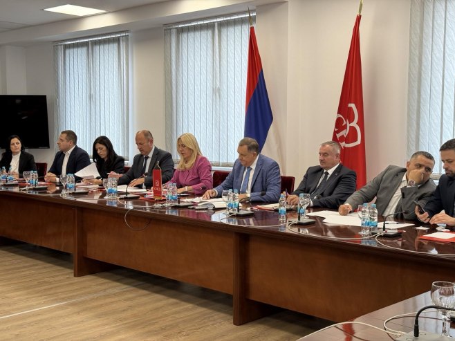 СНСД одбацује пресуду и предлаже формирање Владе националног јединства