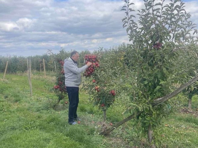 Предсједник Додик обишао воћњак: Ова година није била добра за воћаре у  Српској (ВИДЕО)