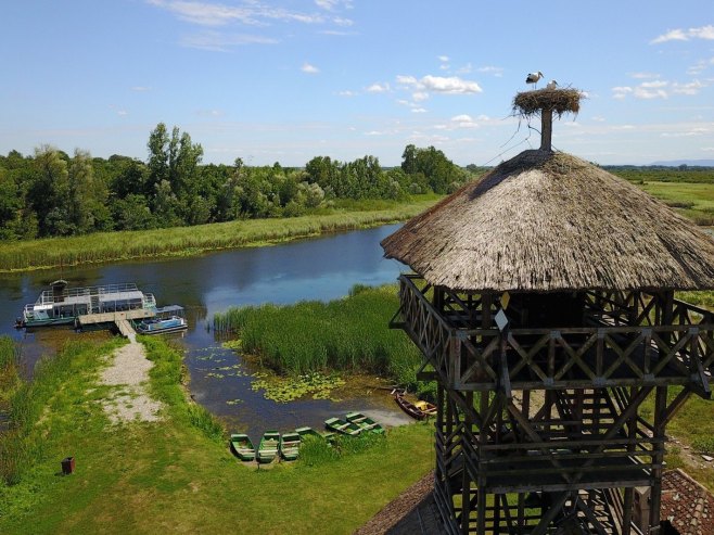 Сунчано и топло, максимална температура до 20 степени