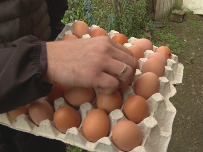 Салмонела у јајима: Повлачење из продаје у седам држава, укључујући и Хрватску