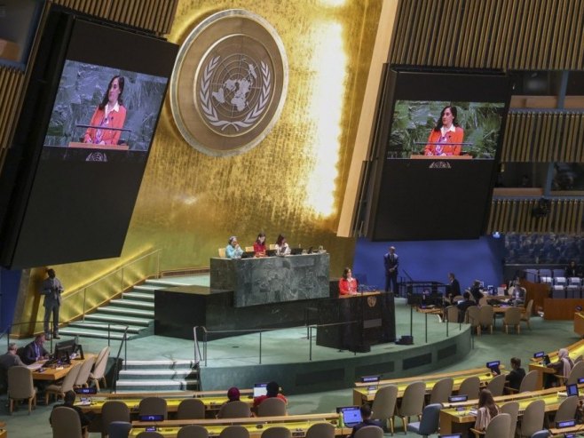 Усвојена резолуција о борби против неонацизма