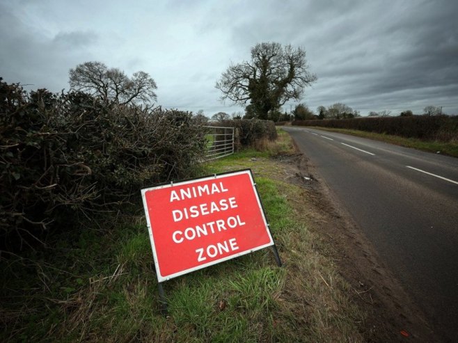 У САД потврђен први случај заразе човјека сојем Х5Н5 птичијег грипа