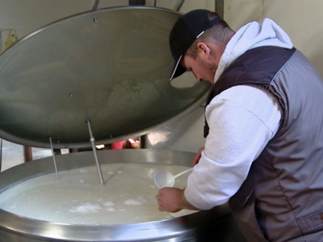 Производња млијека све изазовнија: Произвођачи се боре да предуприједе појаву афлатоксина у млијеку (ВИДЕО)