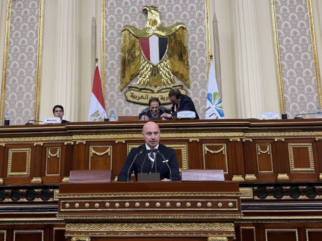 Петковић на Форуму и Самиту у Каиру: За одржив развој свима потребне исте шансе