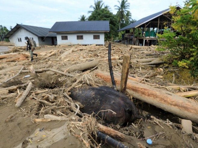 Број погинулих у Индонезији порастао на 631 (ВИДЕО)