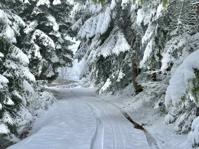 Елек: Од сљедеће сезоне гарантовано 100 дана скијања на свим стазама Јахорине
