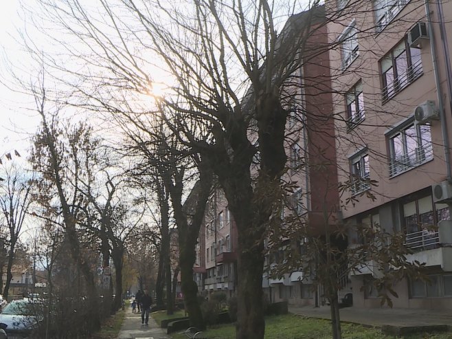 Росуље - Фото: РТРС