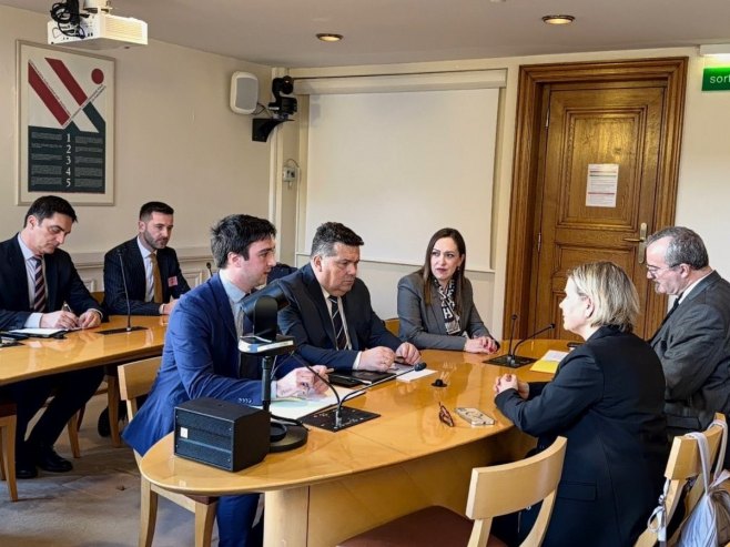 Стевандић у француском Сенату: Залажемо се за равноправност, а не да нам неко други одређује шта су наша  права (ВИДЕО)