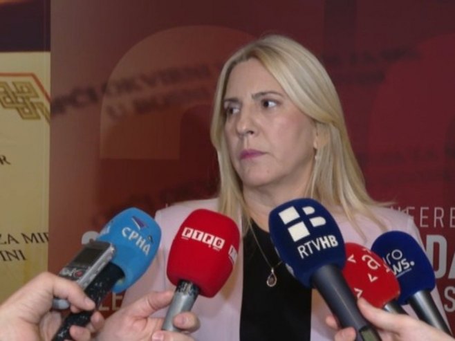 Цвијановић: БиХ може напријед уз локална рјешења, а не наметања (ВИДЕО)
