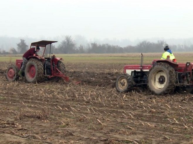 Са Мајевице иду, али јој се и враћају: Породице Васић и Стојановић своју будућност виде у родном крају (ВИДЕО)
