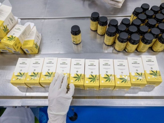 Савјет министара легализовао канабис за коришћење у медицинске сврхе