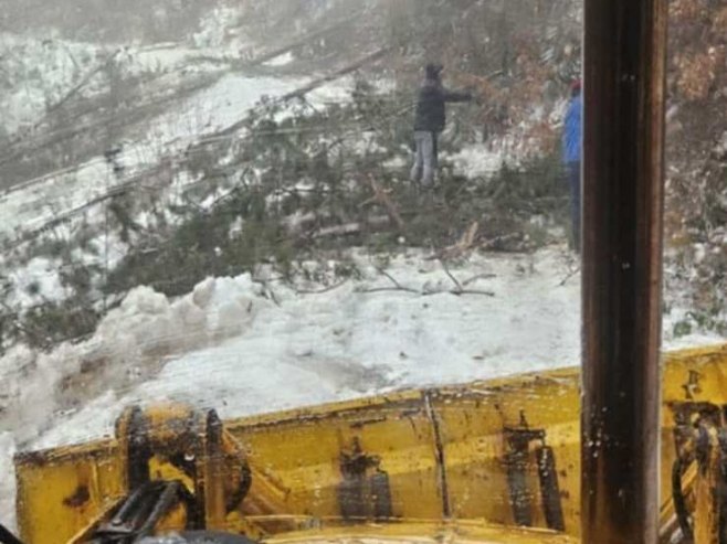 Фоча: Снијег обарао стабла по путевима, зимске службе на терену (ФОТО)