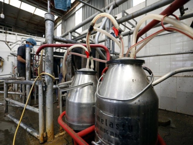 Мљекари пријете протестима; Кузмић: До рјешења се не долази уцјенама