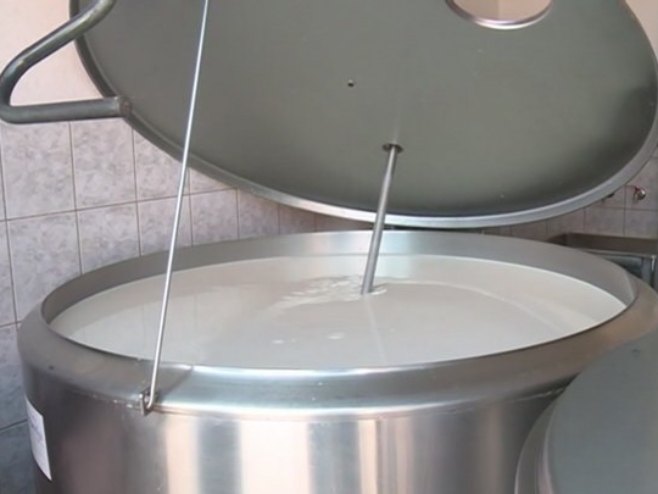 Политика се увукла и у редове мљекара; Умјесто институцијама, захтјеве шаљу путем портала (ВИДЕО)