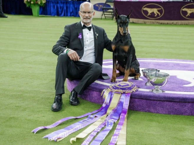 Доберман Пени освојио награду за најбољег пса на 150. изложби паса у Њујорку (ВИДЕО)