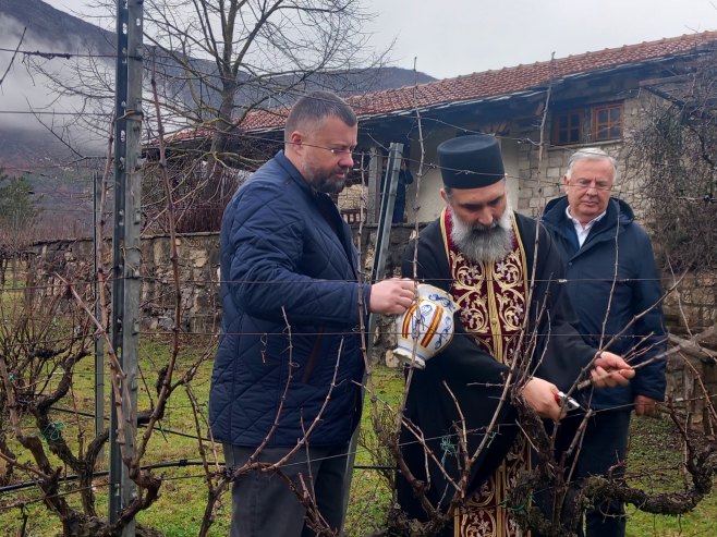 Свети Трифун обиљежен симболичном резидбом винове лозе на Ушћу код Требиња