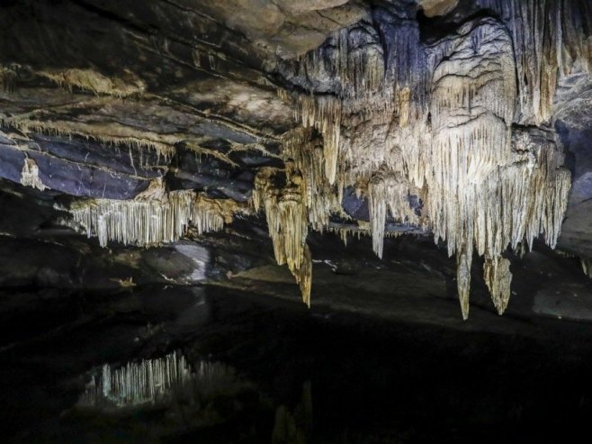Подземне воде избациле већи број човјечјих рибица у Хрватској (ФОТО/ВИДЕО)