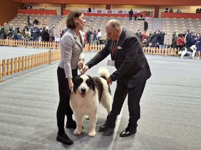У Новом Граду изложба паса свих раса из 19 земаља