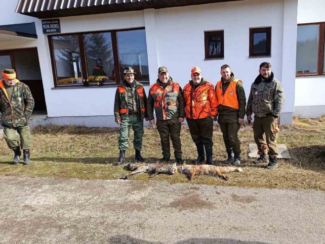 Одстријељене три лисице