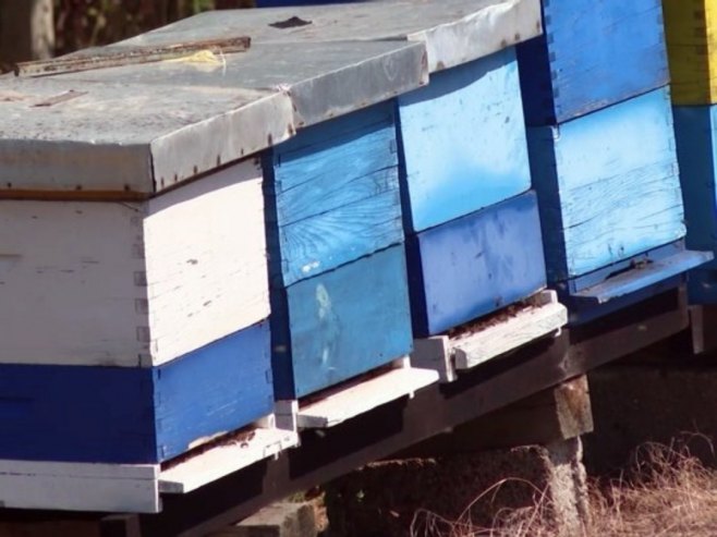 Кошнице - Фото: РТРС