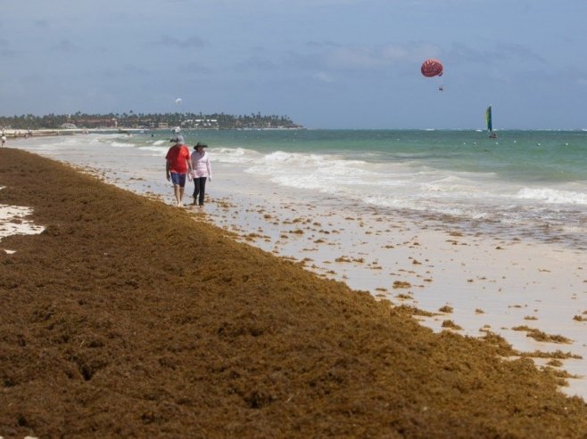 Загријавање океана за 0,1 степен по деценији смањује број риба за 7,2 одсто