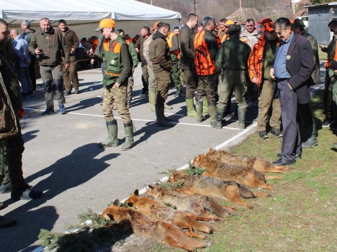 У лову на предаторе одстријељене четири лисице и три шакала