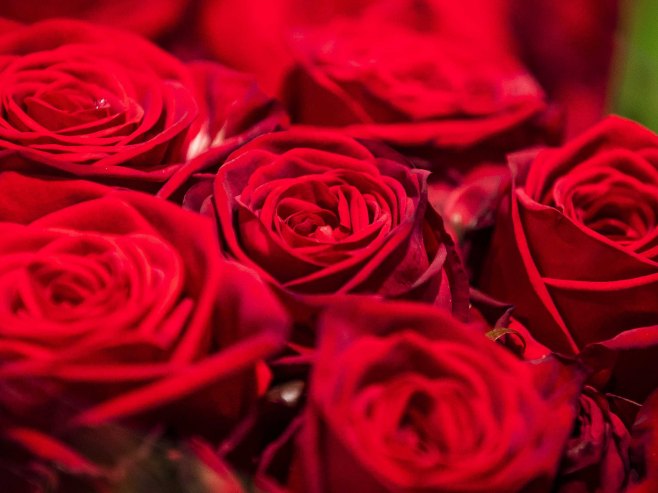 Космичко цвијеће за 8. март (ФОТО)