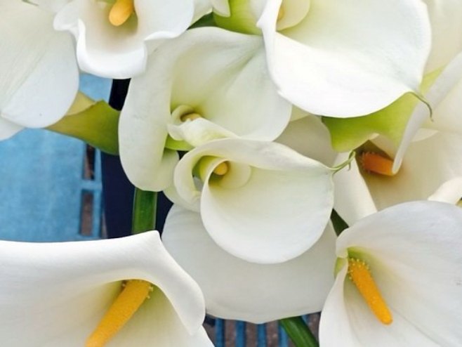 Јасминка из Зворника сигурним корацима осваја тржиште - кале њен заштитни знак (ВИДЕО)