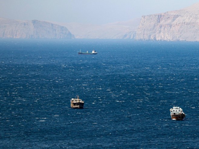 Писторијус: Њемачка војска неће осигуравати навигацију у Ормуском мореузу