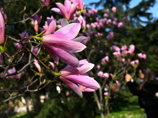 Данас и сутра јак вјетар, наредне седмице стиже право прољеће (ВИДЕО)