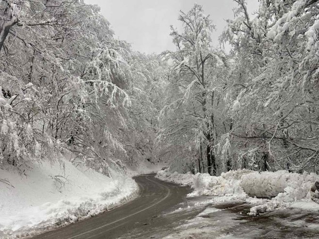 Пут од Козарца до Мраковице поново проходан (Фото: facebook.com/VatrogasciPrijedor) - 