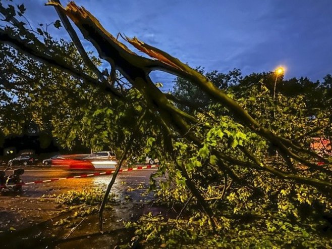Њемачка: Погинуле три особе када је на њих пало дрво, међу жртвама дијете