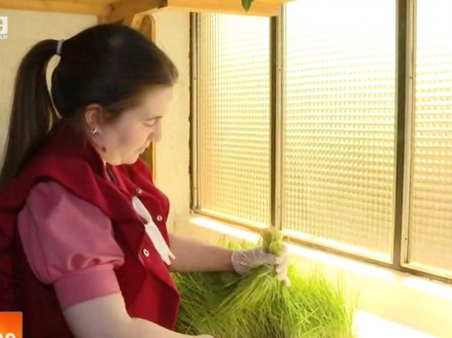 Пољопривредно газдниство Чавић - узимају из природе само најбоље (ВИДЕО)